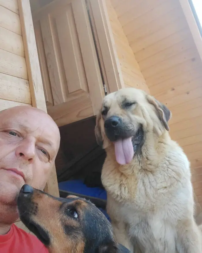 Meet Dejan Gacic, The Good Man Who Has A Shelter With Over A Thousand Dogs