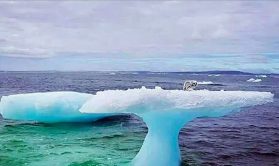 Fisherman see something odd stuck on an iceberg – soon realize the unimaginable truth