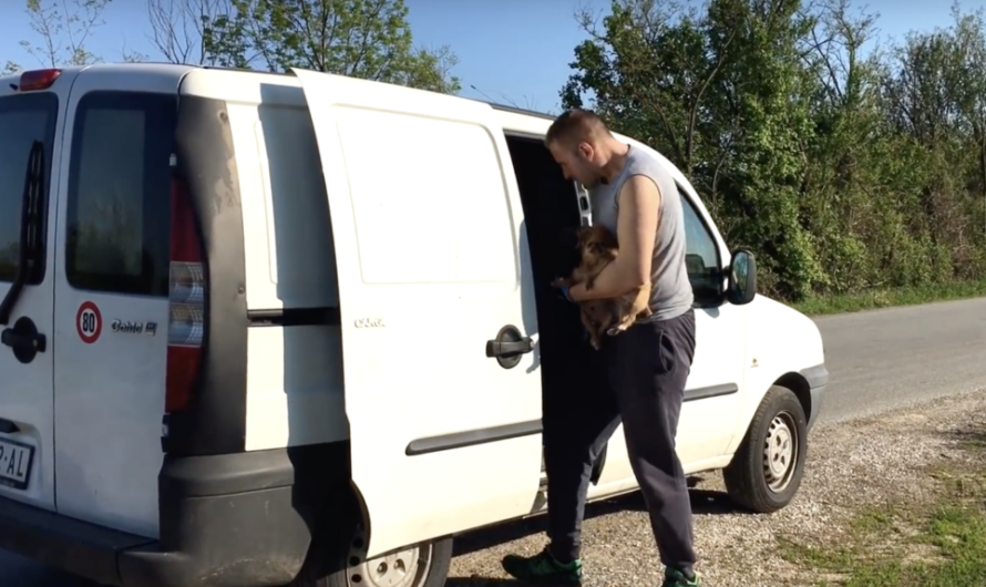 Rescuers Find Puppy Discarded On The Side Of The Road, But Then Something Else Emerges