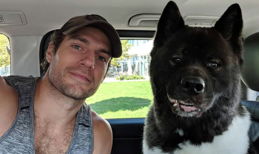 Superman actor Henry Cavill says his pet dog ‘saved’ him from mental health struggles