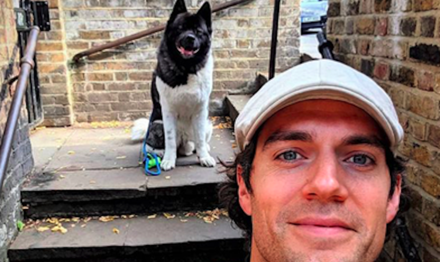 This Celebrity Proves That Even Superheroes Need A Furry Friend