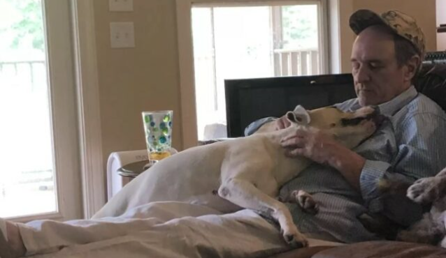 Woman Discovers Her Dad Dozing Off With All The Neighborhood Dogs