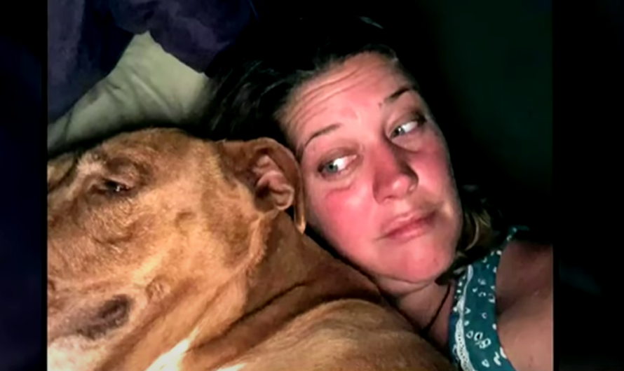 Couple Wakes Up To Find An Unfamiliar Dog Snuggled In Their Bed