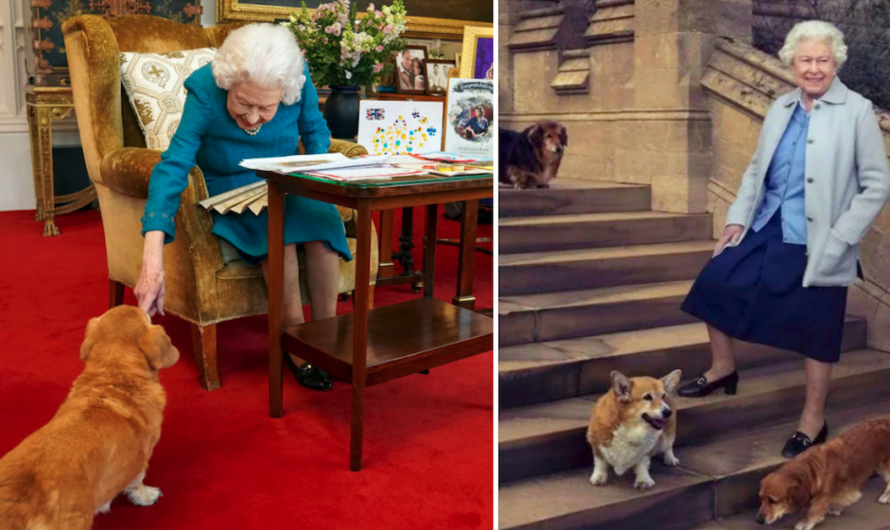 Queen Elizabeth II once comforted a war hero with the help of her pet corgis