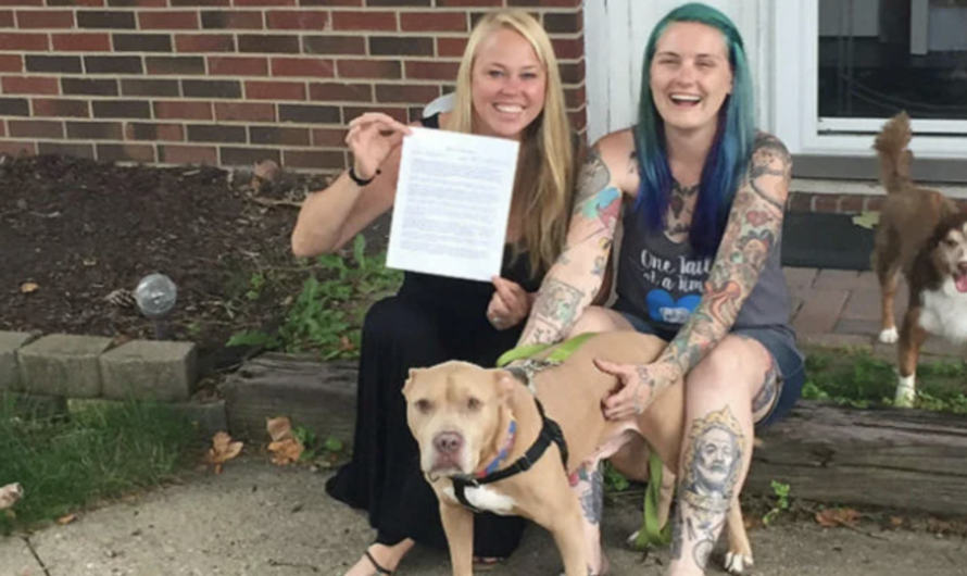 They Adopted A Dog With Terminal Cancer And Made The Last Months Of His Life The Happiest!