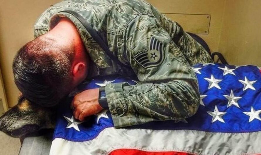 Soldiers Say Last Goodbye To Brave K9 Hero By Draping Him In American Flag