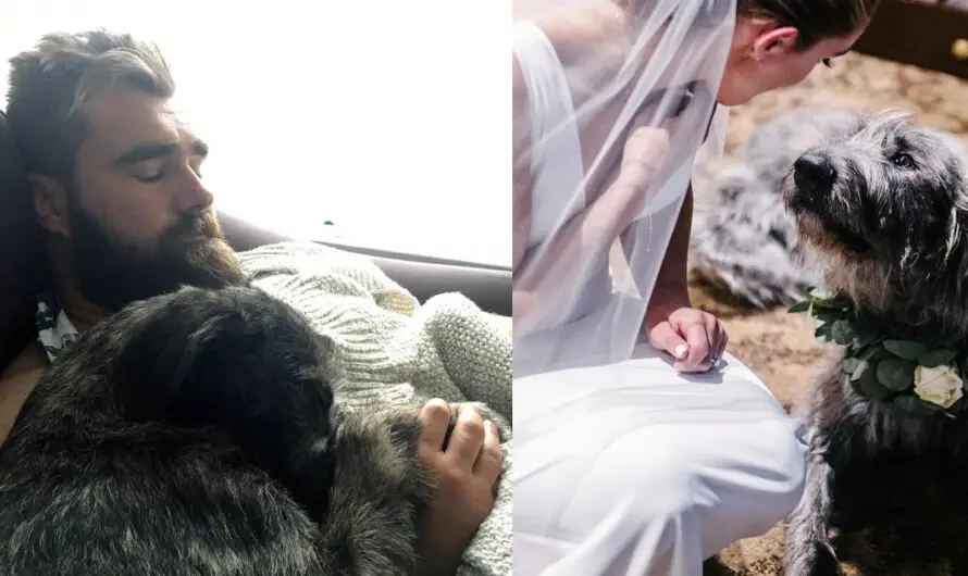 Jason Kelce, wife Kylie mourn the death of their beloved dog Winnie: “I lost part of my soul today”