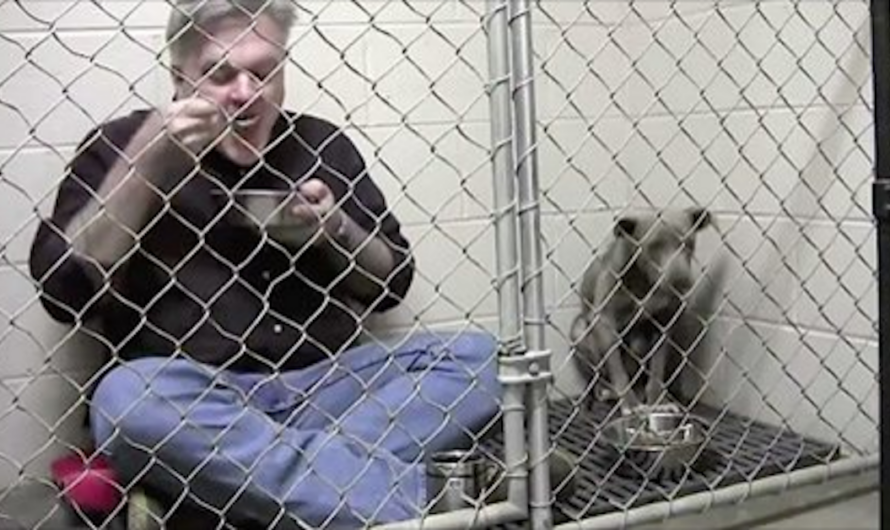 Vet Eats In Rescue Dog’s Cage To Make Her Feel Safe