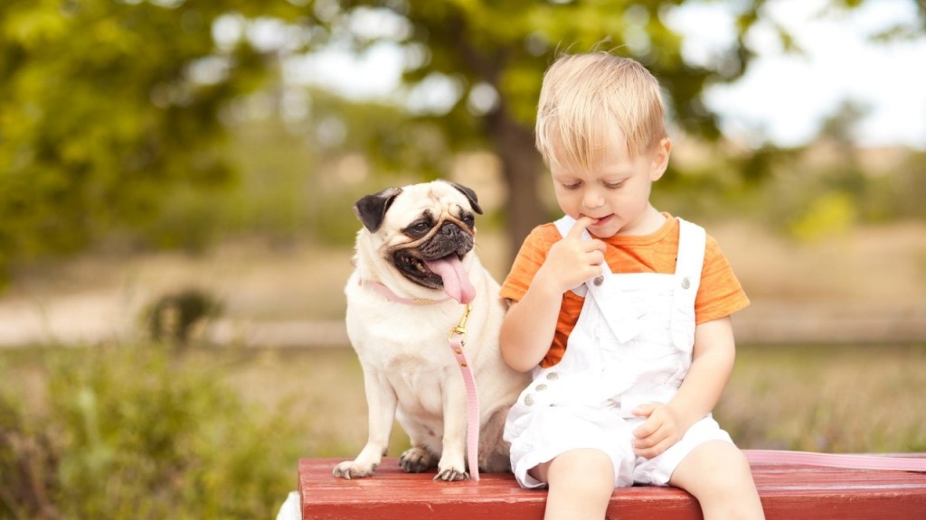 https://abcanimals.xyz/wp-content/uploads/2024/08/a-young-kid-sitting-on-a-red-bench-with-a-pug-next-to-him-1024x576.jpg