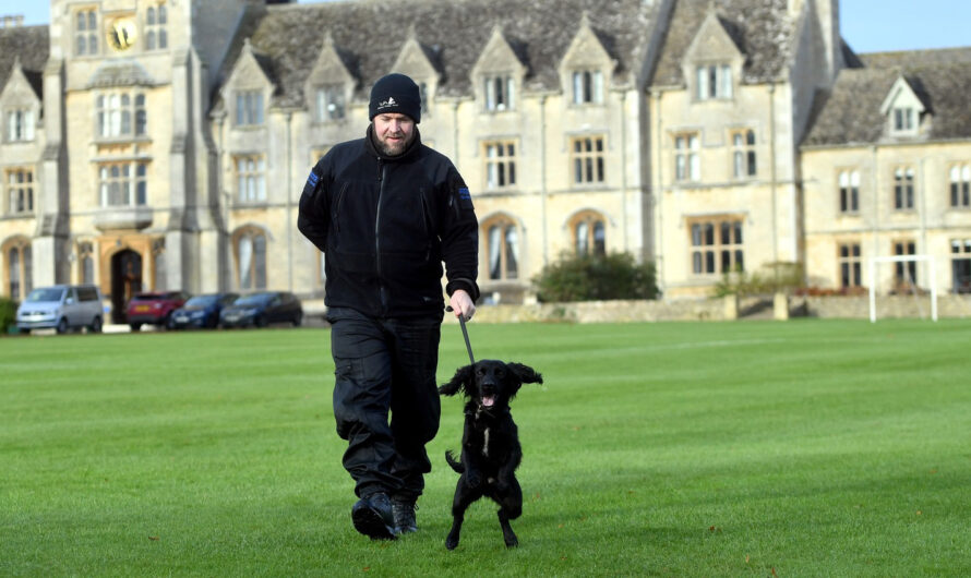 Cocker Spaniel Abused By Owner Gets a New Start – Now Training To Become Police Dog