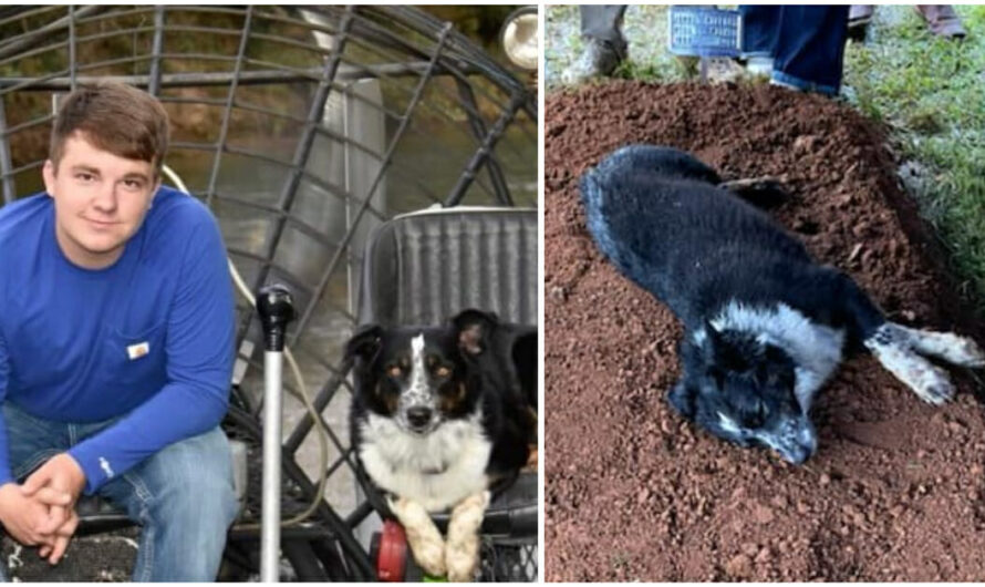 After Shocking Tragedy Leaving Dog Owner Dead, His Grieving Dog Laid By His Graveside At His Funeral