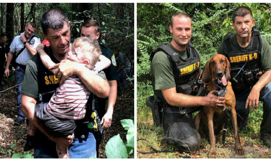 After Special Needs Boy Goes Missing In Woods, K9 Bloodhounds Track Him Down In 28 Minutes