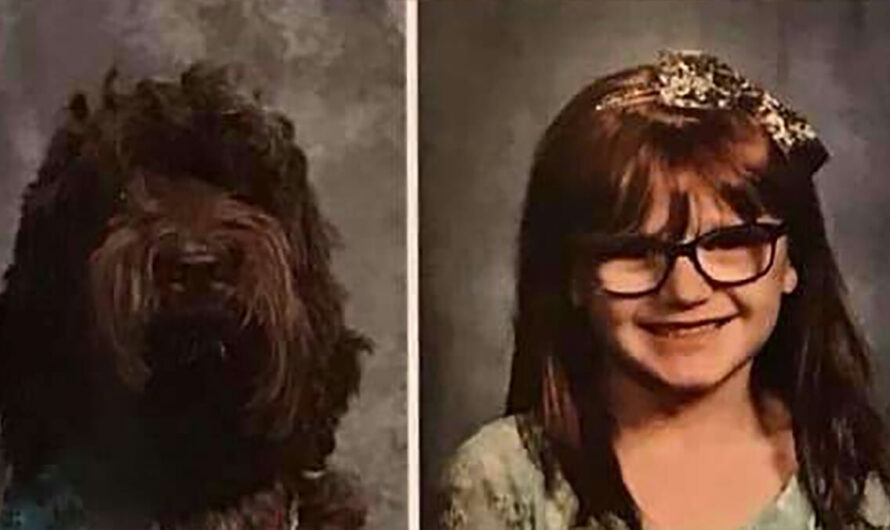 Service dog to 5-year-old with epilepsy is honored in school yearbook