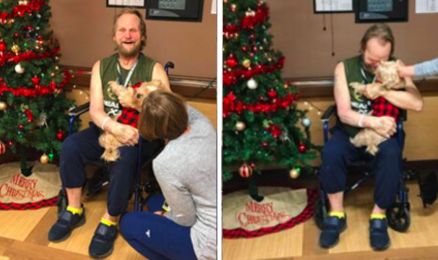 Nurse Goes Above and Beyond To Rescue Hospitalized Patients Dog From The Shelter