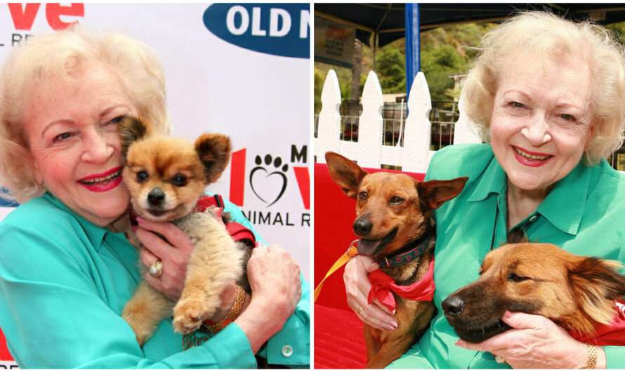 Animal Shelters See Huge Increase In Donations On Betty White’s Birthday, As Fans Donate In Honor Of Late TV Star