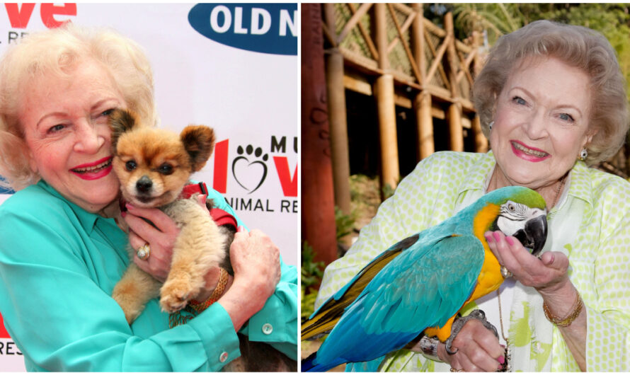 Animal groups pay tribute to the late Betty White, honoring her legacy as champion for animals