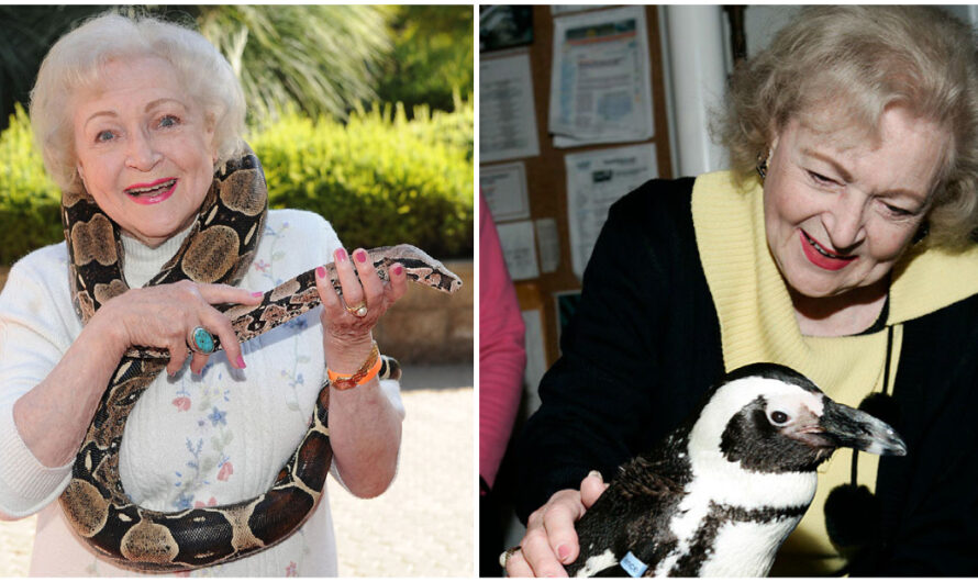 Betty White Anonymously Donated To Evacuate Animals From New Orleans Aquarium After Hurricane Katrina