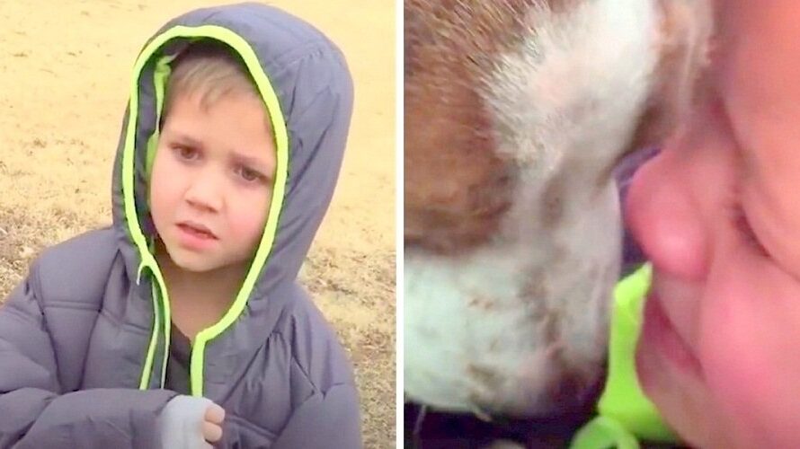 Little Boy’s Dog Has Been Missing For A Month, When Mom Calls Her Son Over