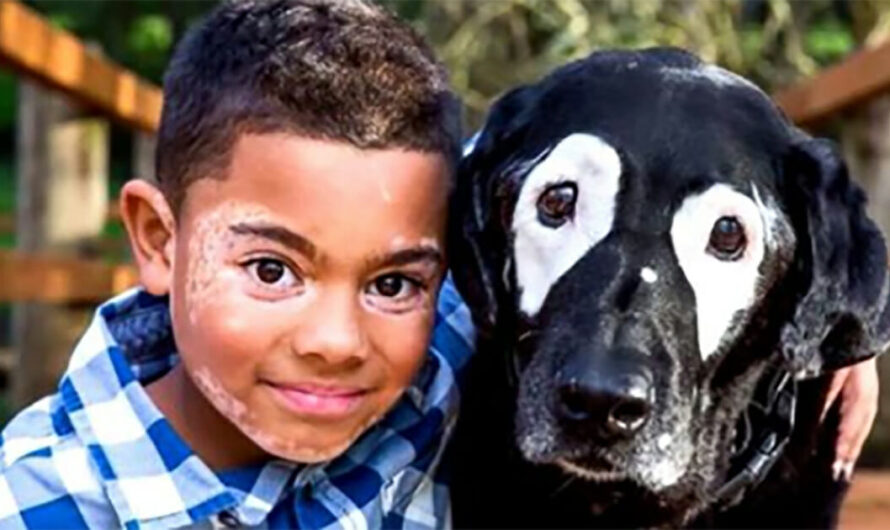 Boy Learns to Cope with his Skin Condition After Discovering a Dog with the Same Condition