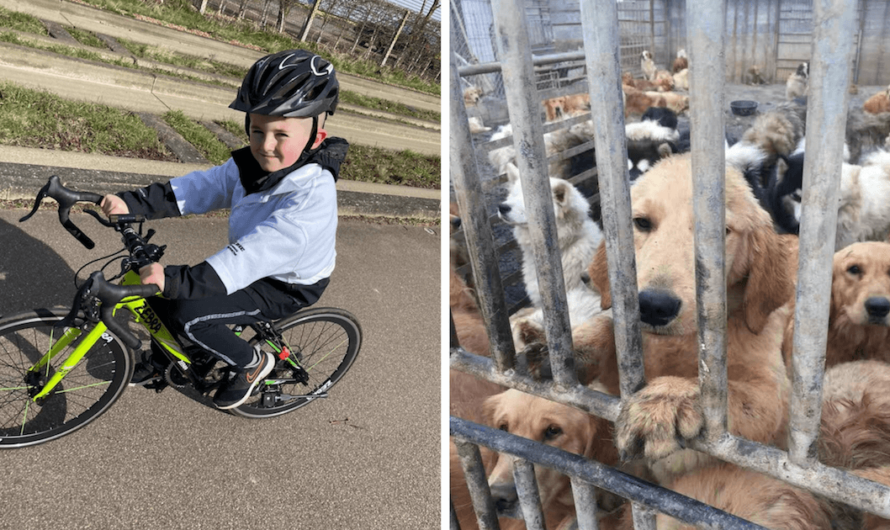 8-Year-Old Boy Rides His Bike To Save Dogs From The China Meat Trade