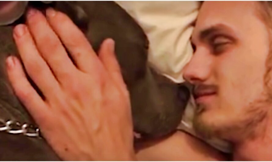 Pit Bull Escaped Miserable Life, Man Held Her & Said To Wife “This Is My Puppy”