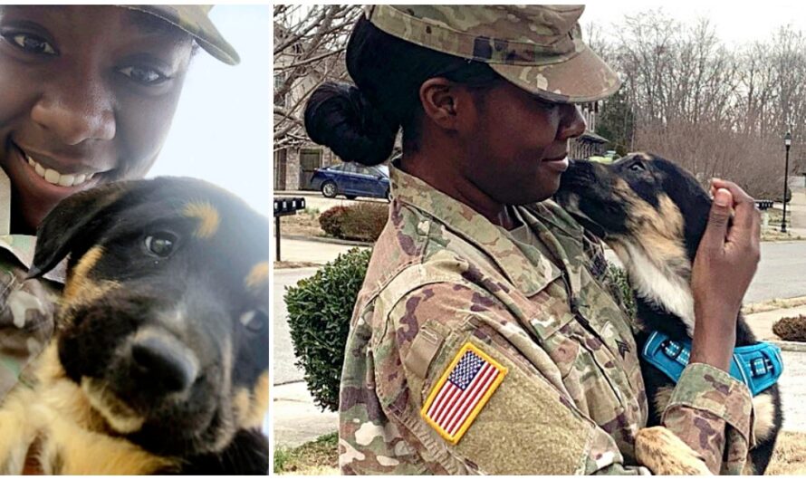 Soldier Reunites With Puppy She Saved From Dog-Catchers While Overseas