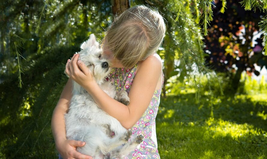 5 Simple Ways To Show Your Dog Affection