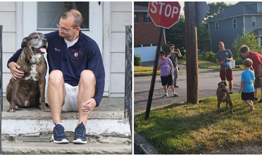 ‘Mellow’s last walk’: Neighbors come out to give terminally ill dog a final farewell