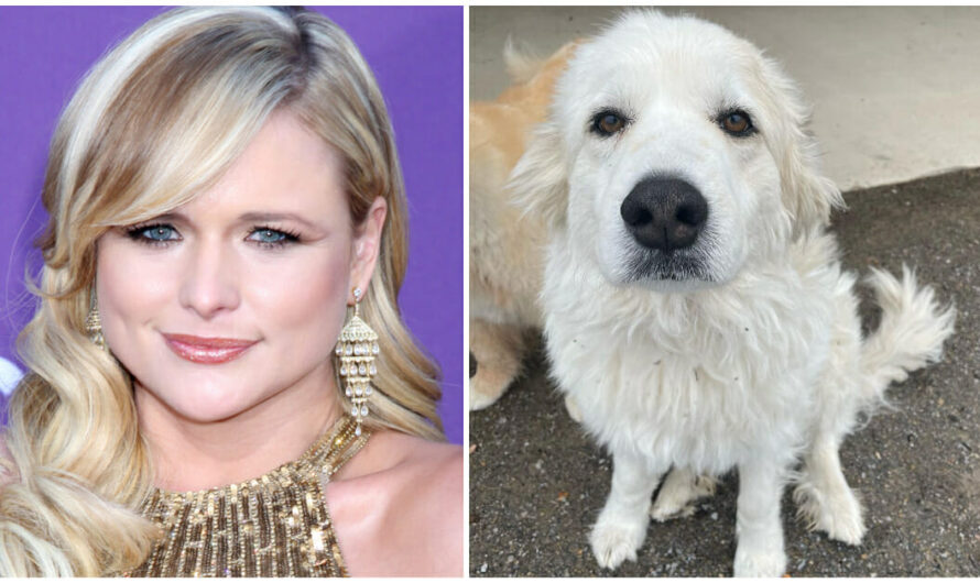 Miranda Lambert mourns death of beloved dog Thelma: “It hurts so bad to say goodbye”