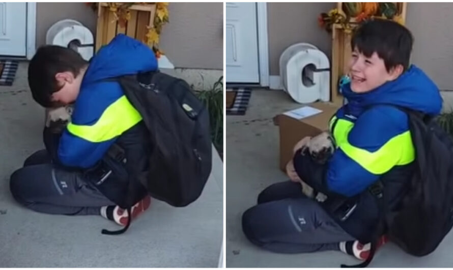 Boy with autism is overjoyed after being surprised with his very own puppy