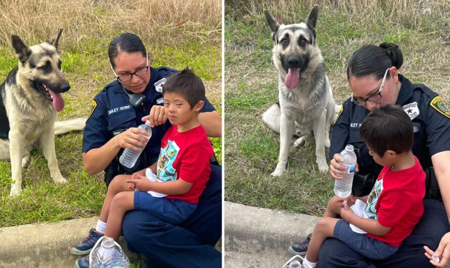 Missing 5-year-old boy with Down syndrome found with his loyal dog keeping him safe