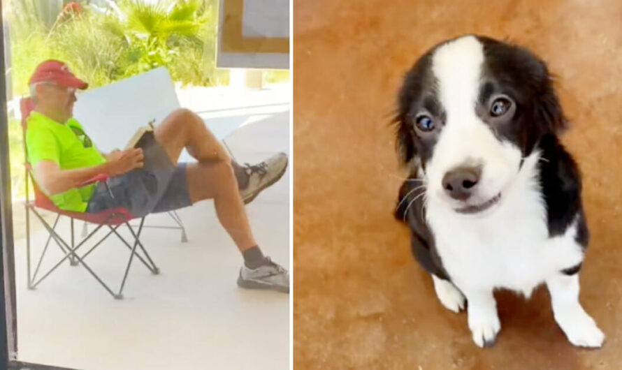 Man Camps Out At Shelter For Five Hours So He Can Adopt His Favorite Dog