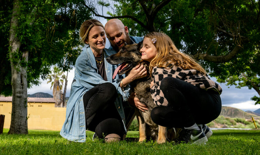 Woman sees shelter dog about to be euthanized and knows she’s meant to save his life