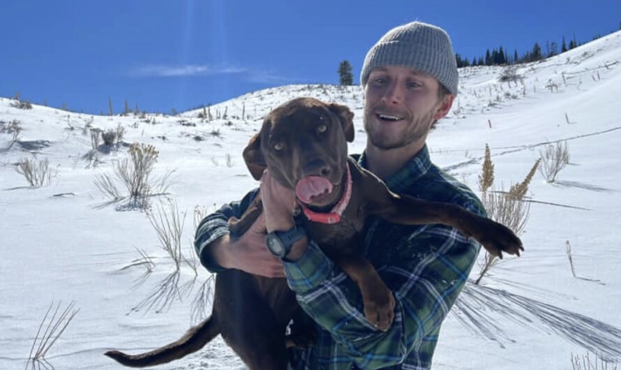 Colorado Couple Reunites With Dog That Went Missing In The Mountains During Ski Trip