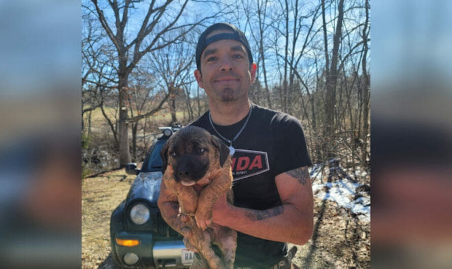 Heroic Veteran Scales 100-Foot Cliff To Save Puppy Trapped In Ravine