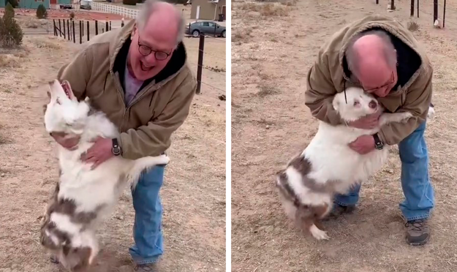 Grandpa’s Concerns That the Dog Wouldn’t Recognize Him After a Year Apart, But The Excited Dog Rushes Towards Him