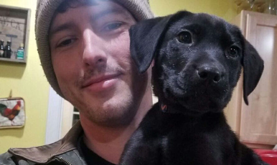 Deaf Man Adopts Deaf Rescue Puppy, Teaches Him Tricks Using Sign Language