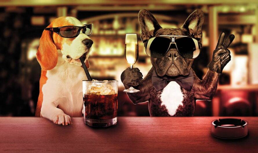 Dog Cocktails: 24 Drinks Named After Dogs