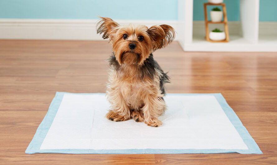 10 Ways To Puppy-Proof Your House