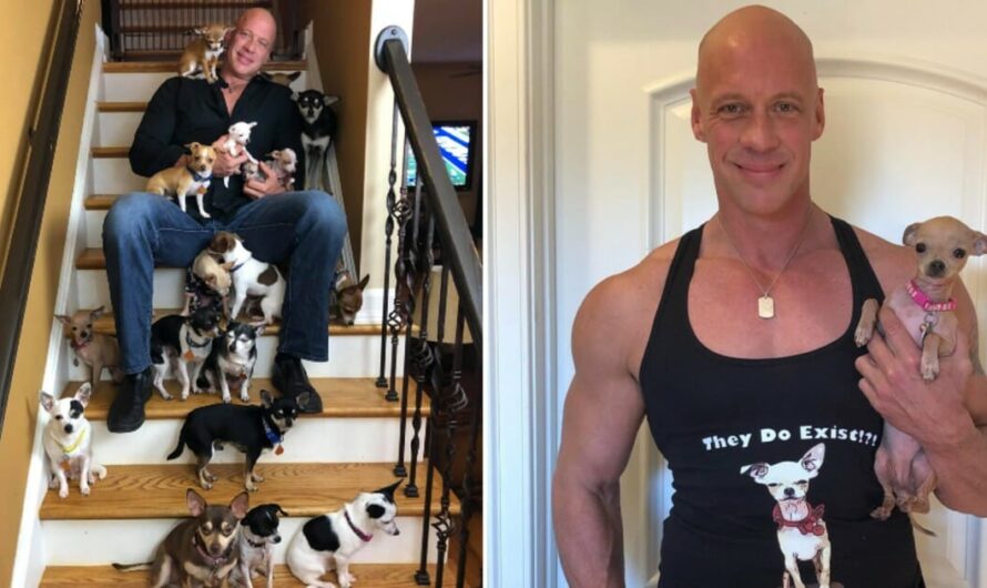 Bodybuilder used to make fun of tiny dogs until one saved his life — now he runs a Chihuahua sanctuary