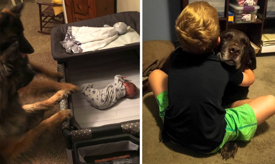 18 Times Dogs Proved To Be The Best Pals A Kid Could Ask For