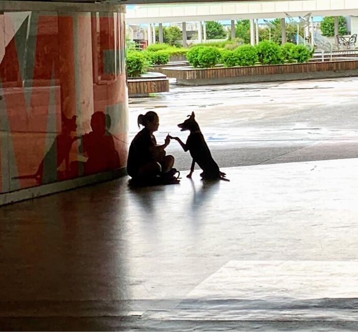 Woman Shows Her Selflessness When She Tries To Calm Her Dog During An Earthquake