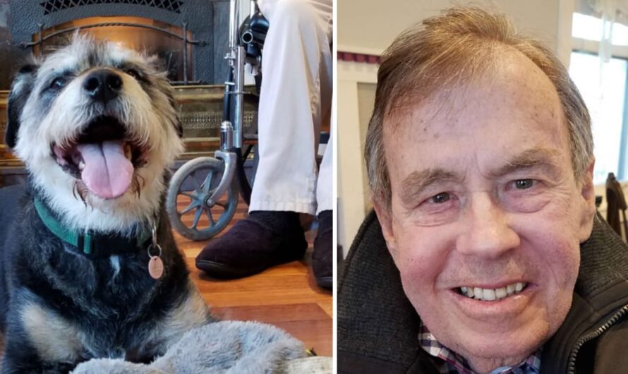 Dying Man Holds On Until His Last Wish To Find A Home For His Beloved Dog Is Met