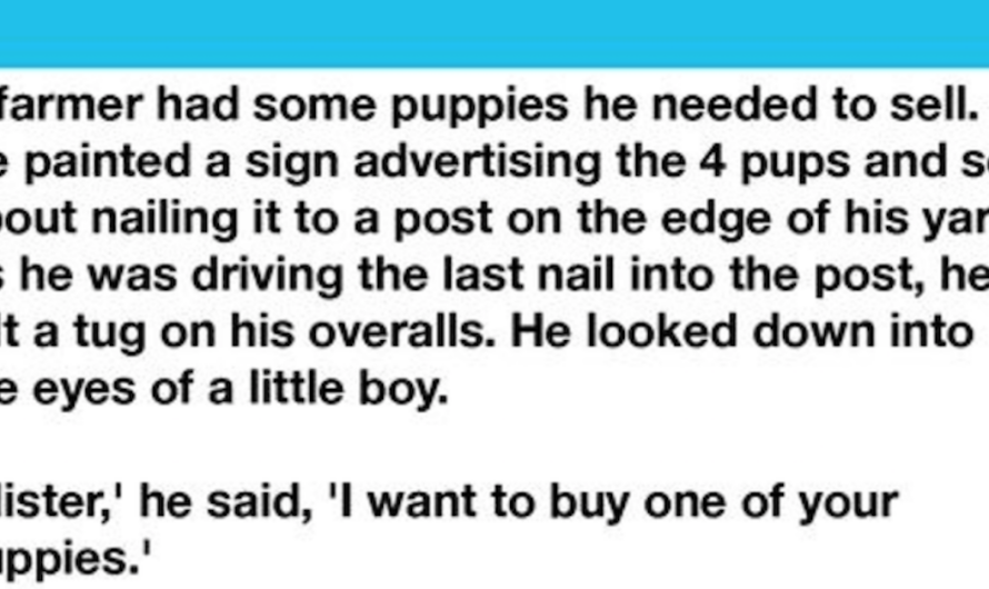 Boy Picks Out The Crippled Puppy Of The Litter To Buy From The Farmer