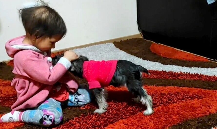 Girl With Cancer Gets Her First Puppy, And The Pup Is Already Helping Her Cope