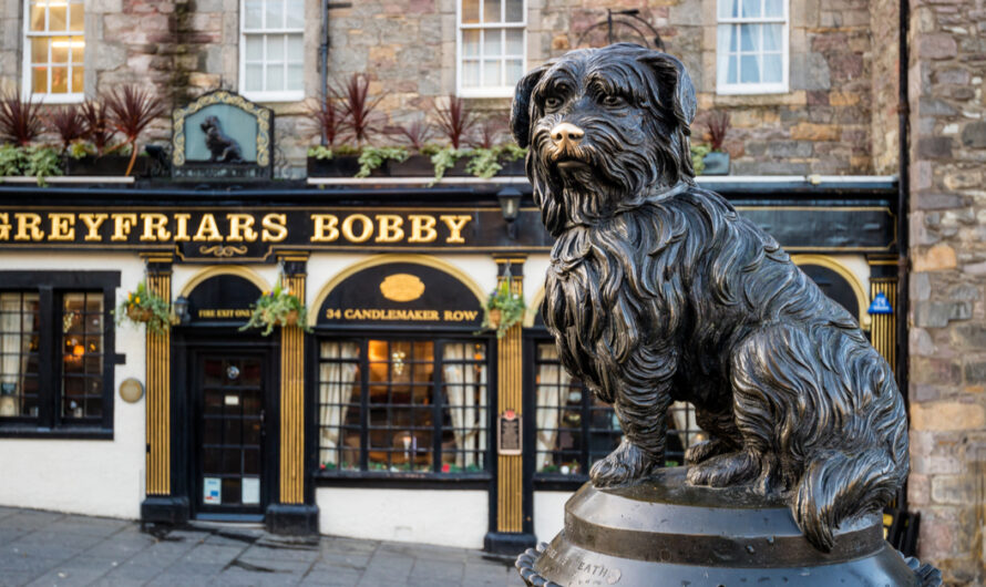 Greyfriars Bobby, Legendary Dog Who Never Left Owner’s Graveside, Remembered 150 Years Later