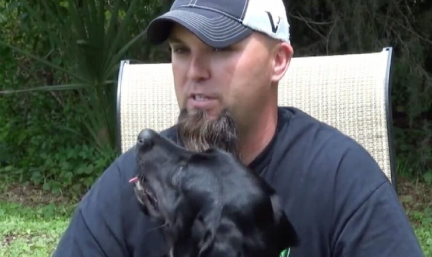 Service Dog Calms Veteran With Survivor Guilt Before He Can Have A Panic Attack