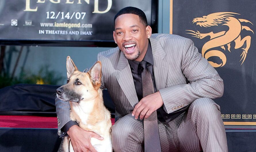 Will Smith pays heartwarming tribute to his beloved co-star Abbey, the dog from “I Am Legend”