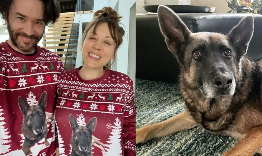 Kaley Cuoco, partner Tom Pelphrey announce death of beloved dog Blue