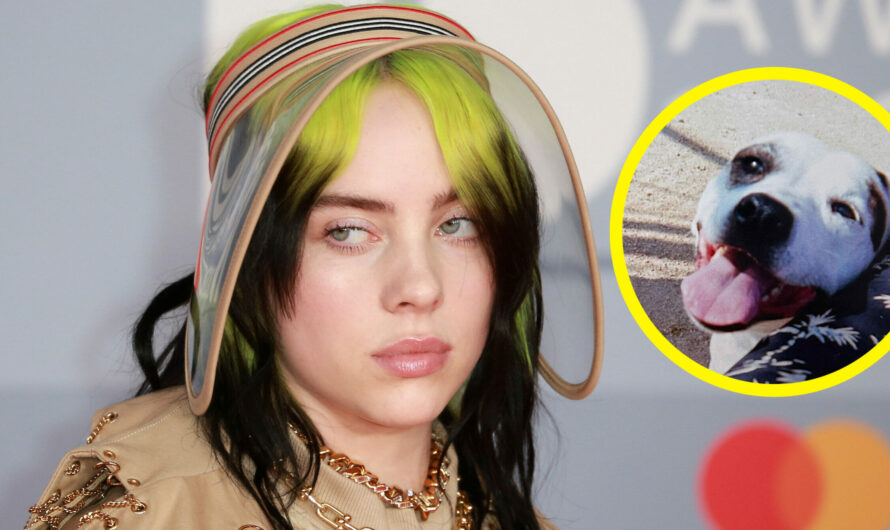 Billie Eilish mourns death of childhood dog Pepper: “My lifelong best friend”